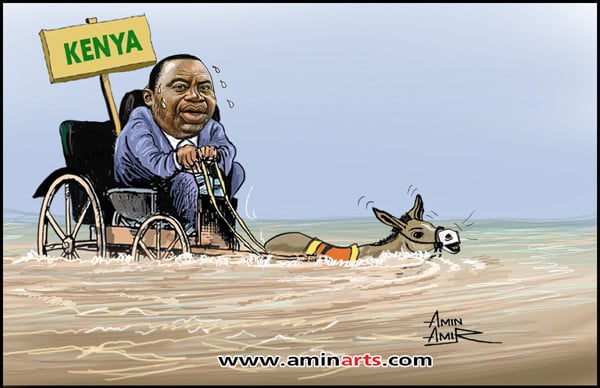 Farshaxaniiste: Amiin Caamir