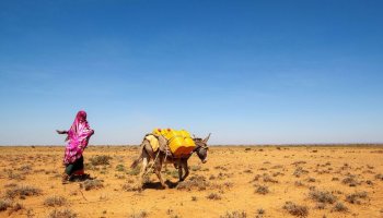 Drought is making finding clean water harder for women and girls, who are the primary water collectors, like here in Baligubadle, Somaliland. Extreme conditions are also forcing families who have lost their livelihoods to move to internally displaced persons (IDP) camps. © UNDP Somalia