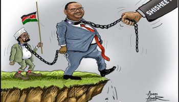 Farshaxaniiste: Amiin Caamir